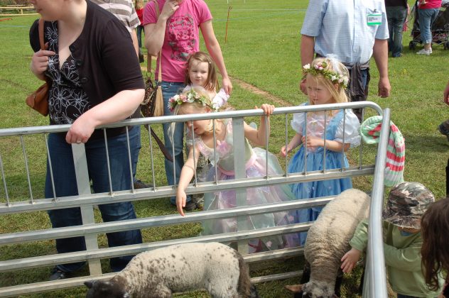 Fairies and lambs