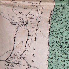 1906 Sale of South Farm map section 3