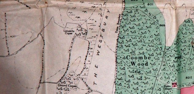 1906 Sale of South Farm map section 3