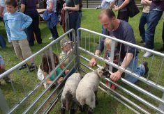 Country Fair 1993 - 2000