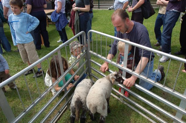 Lambs & kids