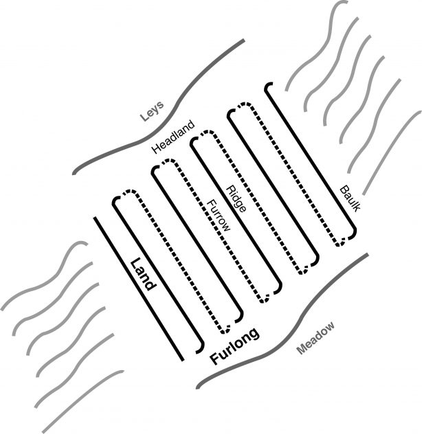 Diagram of open field and terms used