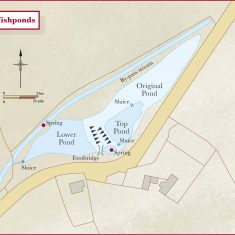 Fishponds2 Diagram of Fishponds as it might have been in 14th century