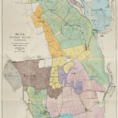 Sale of Leydene Estate 1953, Oxenbourne Down, Ramsdean Down, Hyden Wood, Clanfield
