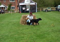 Country Fair 1993 - 2000