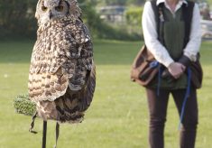 Country Fair 2001 - 2010