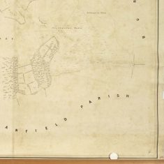 Oxenbourne & Hillhampton Downs websize Section of East Meon Tithe Apportionment map 1852 Oxenbourne & Hillhampton Downs