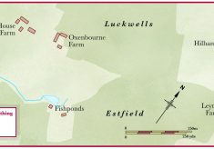 Maps, contemporary