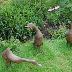 Ducks in Hazel Rendle's garden (children's checklist)_