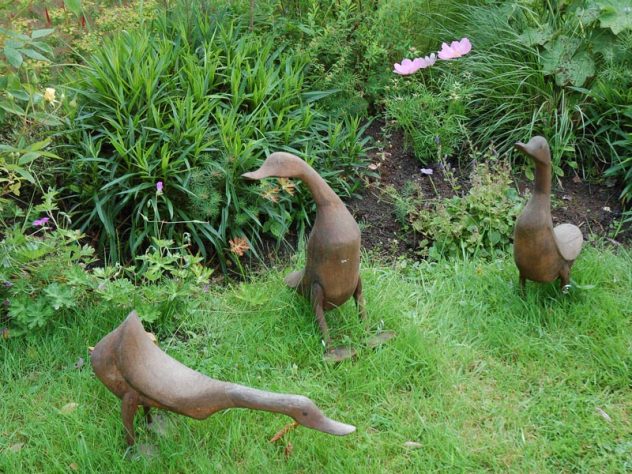 Ducks in Hazel Rendle's garden (children's checklist)_