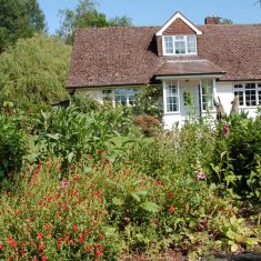 Hazel Rendle's garden from front