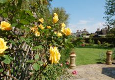 Gardens