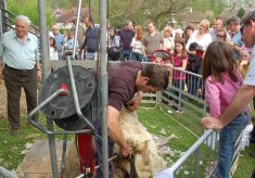 Country Fair 1993 - 2000