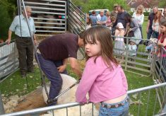 Country Fair 1993 - 2000