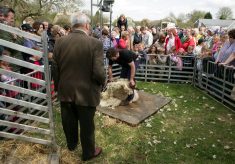 Country Fair 1993 - 2000