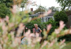 Gardens