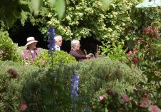 Gardens