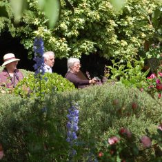 Visitors to the Tudor House garden
