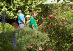 Gardens