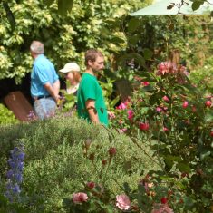 Young visitors to the Tudor House garden