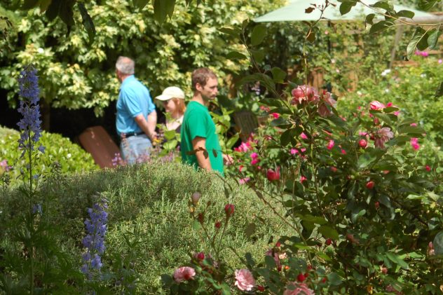 Young visitors to the Tudor House garden