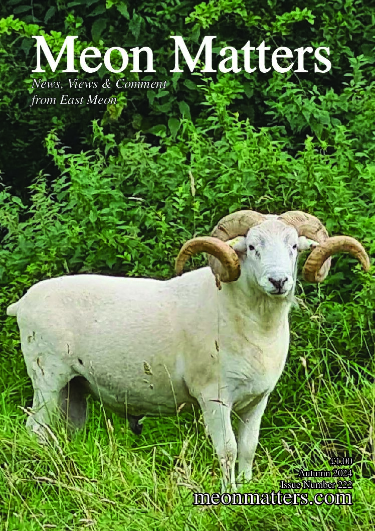 Meon Matters Archive